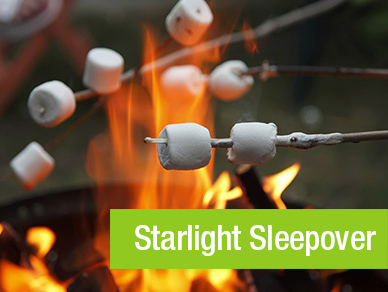 camp-activities-starlight-sleepover.jpg