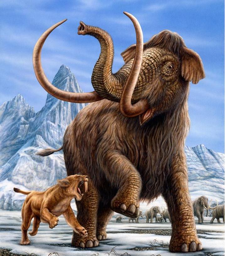 big_saber-tooth-tiger-wall-paint.jpg