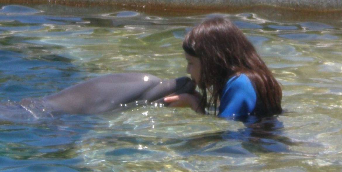 camp-live-oak-dolphin.jpg