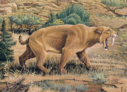sabertoothtiger.jpg