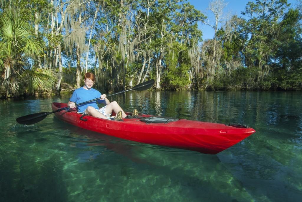 Kayaking Along The Loxahatchee River