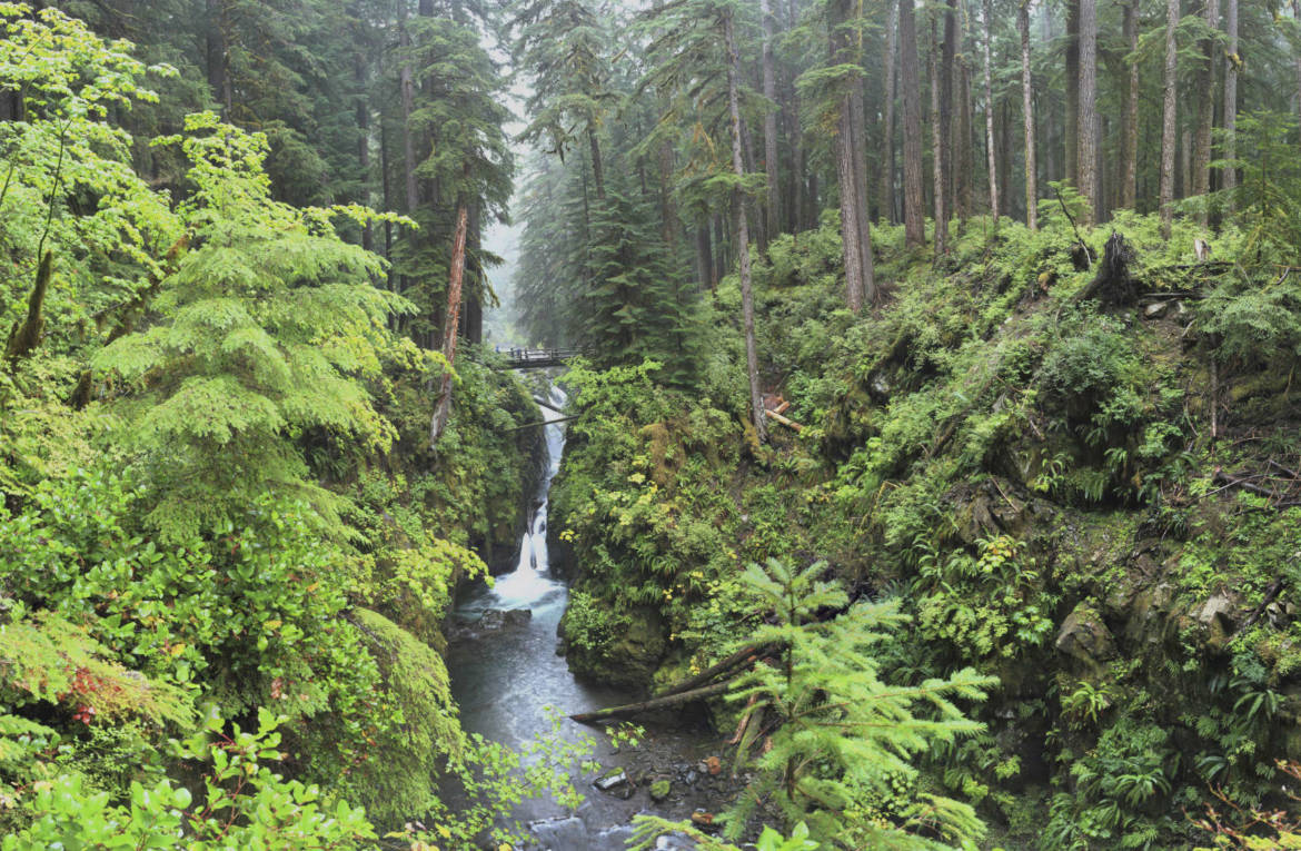 Olympic-National-Park.jpg