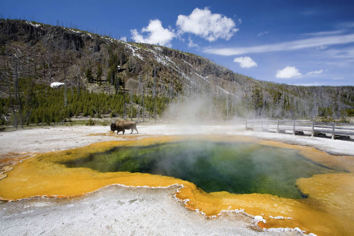 Yellowstone.jpg