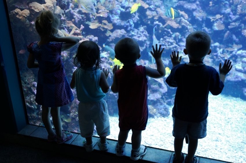 Aquarium-Kids.jpg