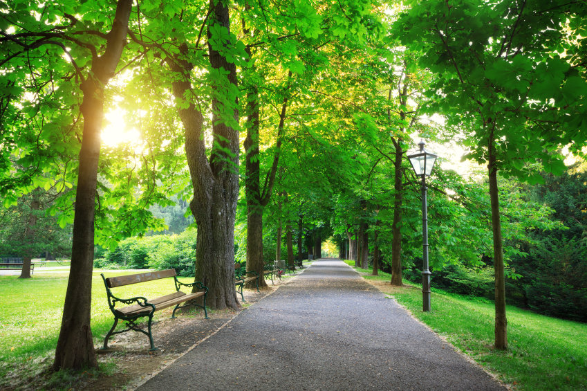 park-path.jpg