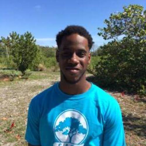 Brandon Franklin