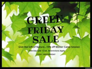 Green-Friday-Sale31-e1511278203778.jpg