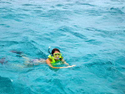 camp-snorkle camp-snorkle