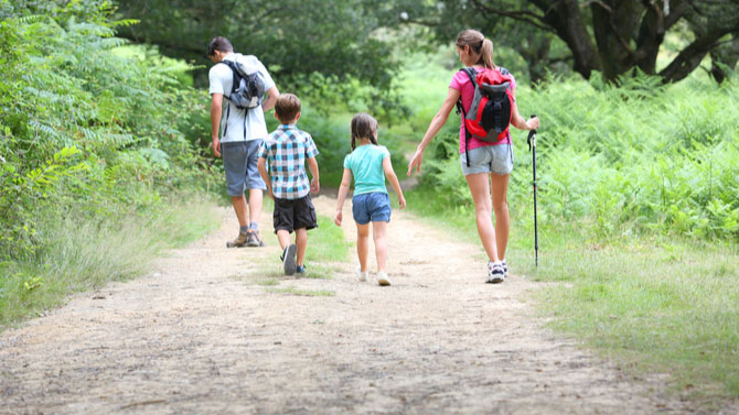 Day Trekking for Families