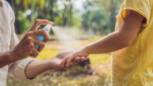 Avoiding Insect Bites and Stings This Summer