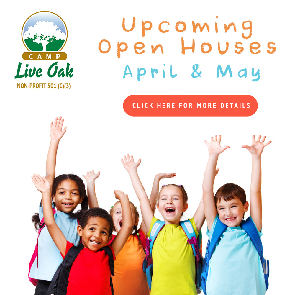 openhousepopup Camp Live Oak