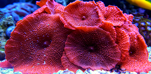 reef-science-camp.jpg