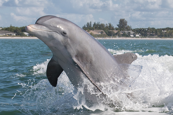 sea-science-camp-florida.jpg