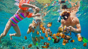 Snorkeling with the Family in Florida For Spring